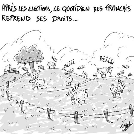 mouton_francais.jpg